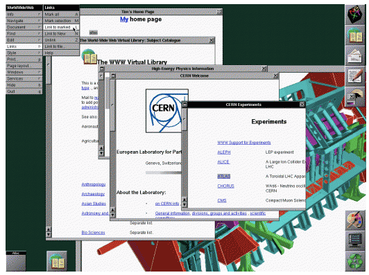 the first web browser