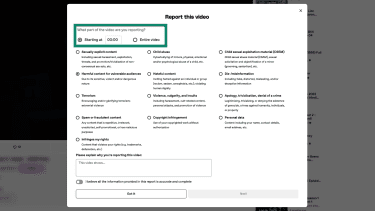 When reporting a video on Dailymotion, a user can pick a custom time or report the entire video at once.